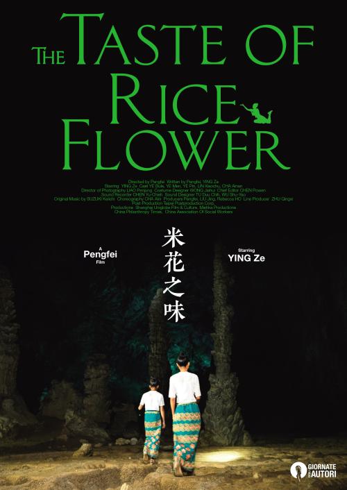挪威驾驶证怎么买假的